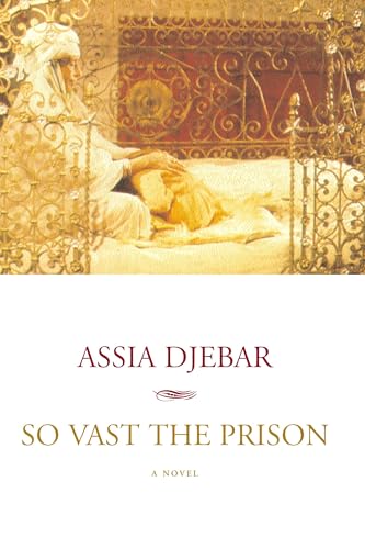 So Vast the Prison: A Novel