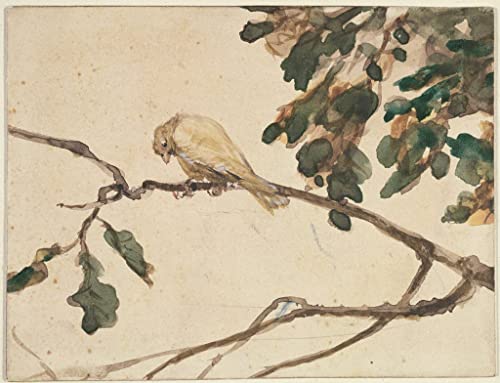 Tableau canari sur une branche de chêne Adolph Menzel affiche impression d'art toile 60x90