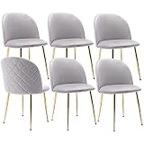 chairus Dining Chairs Set of 6 Velvet Upholstered Vanity Chair with Gold Metal Legs, Modern Living R