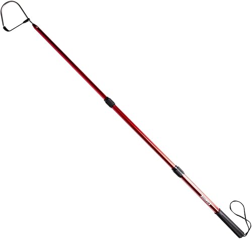 Miniatura 10 de Gancho extensible de aluminio para peces con soporte de gancho de lanza de pesca de acero inoxidable afilado