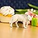 Safari Ltd. White Wolf Figurine - Realistic, Hand-Painted 3.6