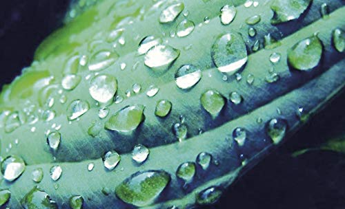 Hydra Genius Aloe Water Piel Normales 70 Ml