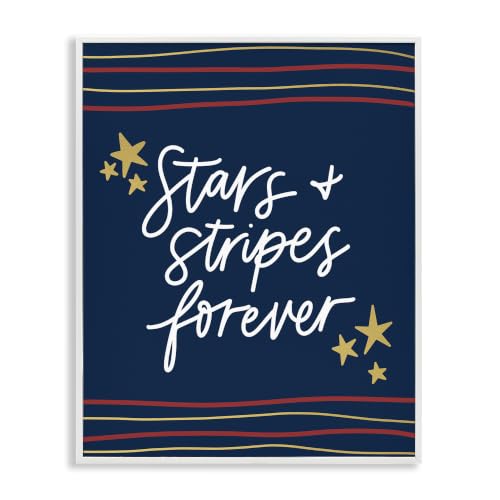 Stars Stripes Forever Americana, 16 x 20 Inch Framed Giclée Print
