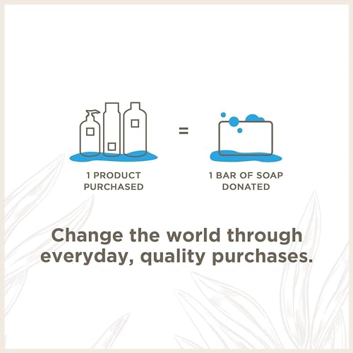 Soapbox B076656799 Liquid Hand Soap, Coconut Milk & Sandalwood, Gentle & Moisturizing Hand Wash For Kitchen And Bathroom, Vegan & Cruelty Free Scented Hand Soap 12 Ounce Pump Bottles thumb #7