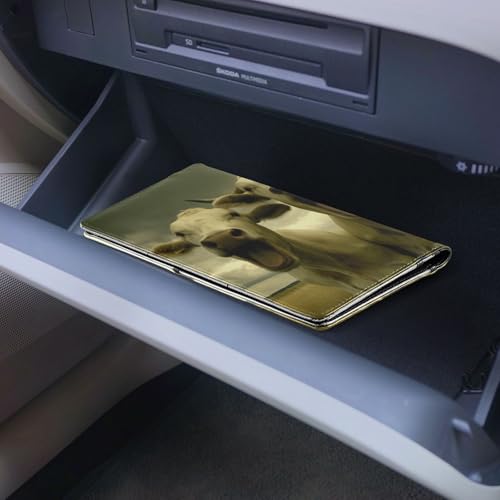 Organizador de documentos para auto compacto miniatura 6
