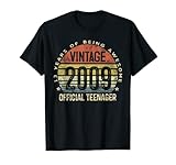 13th Birthday Gifts Vintage 2009 Official Teenager 13 Yr Old T-Shirt