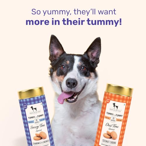 Image of Yummy in My Tummy by HUFT Snooze Time Special Chamomile & Lavender Gluten Free Dog Biscuits - 200 gm (Pack of 2), Calming Treats for All Lifestages | Crunchy & Healthy Snack for All Breeds Dogs