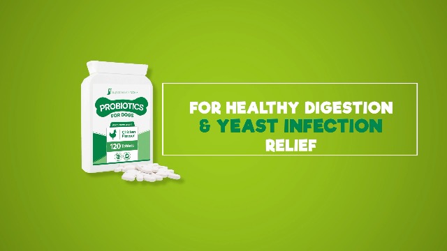 Tummy Powder Probiotics For Dogs, High CFU Natural Dog Probiotic, Prebiotic And Postbiotic