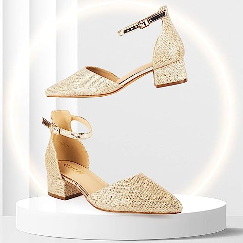 Women’s Pumps Pointed Toe Low Chunky Heels Ankle Strap Closed Toe Gold Nude Black Silver Heels Dress Wedding Pumps2