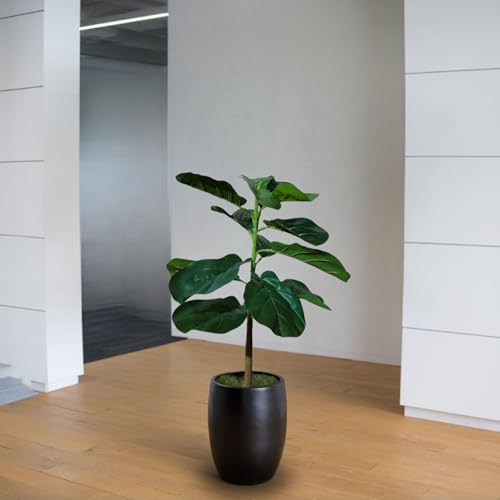 Image of Kayra Decor 2.5 Feet Artificial Fiddle Leaf Fig Plant for Home Decor