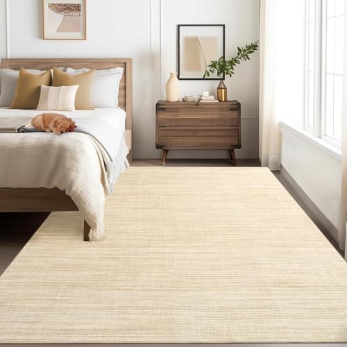 GarveeHome Tapis 4x6 Salon Minimaliste Beige Lavable Machine