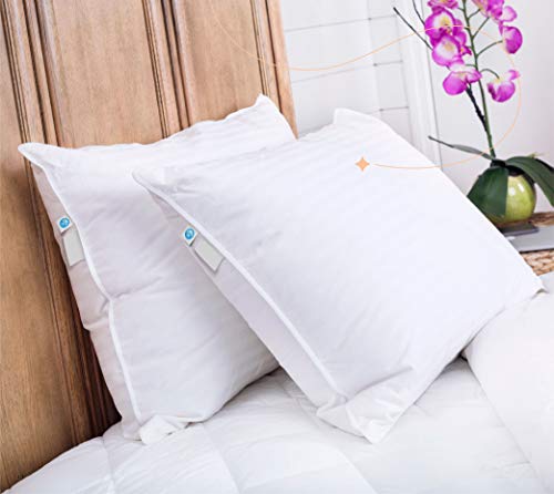 Continental Bedding Superior 100% Down 700 Fill Power Hungarian White Goose Down Pillow (Standard) (SP100-S)