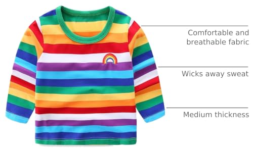 Image of Boys Rainbow Striped Shirt Cotton Long Sleeve T-Shirts