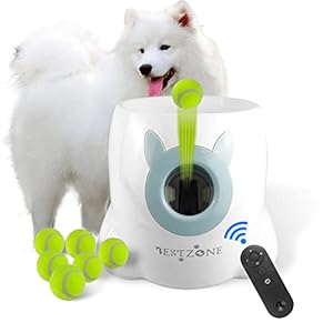 Thrower Machine for Small Size Dogs