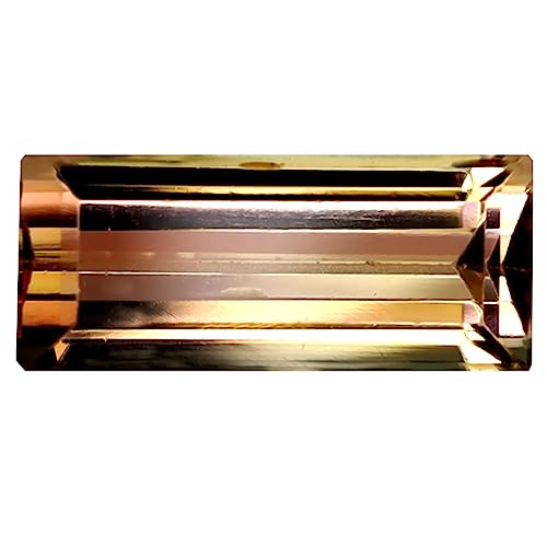 Tourmaline bicolore en vrac 1.34 ct, pierre précieuse octogone Mozambique 10 x 4 mm