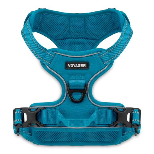 Voyager No Pull Dog Harness for Large Dogs, Dual Leash Attachments, Adjustable Soft but Strong Pet Harness with 3M Reflective Technology, (Turquoise Nylon), XL (Chest: 28-37")