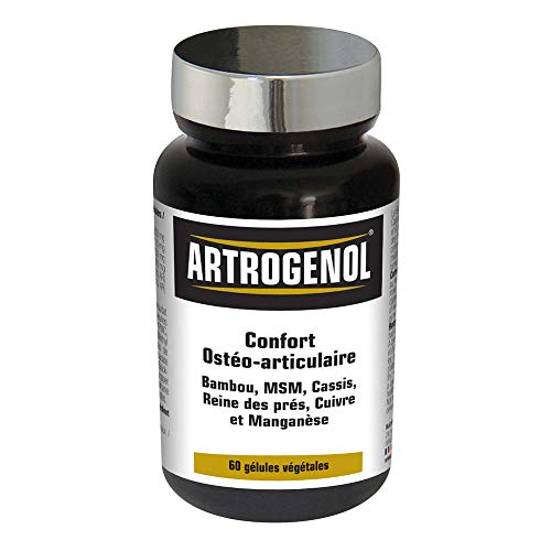 NUTRI EXPERT - Artrogenol - Confort ostéo-articulaire - Formulée à base de Bambou, MSM, Cassis, Reine des prés, Cuivre et Manganèse - Cure de 30 j - 60 gélules végétales