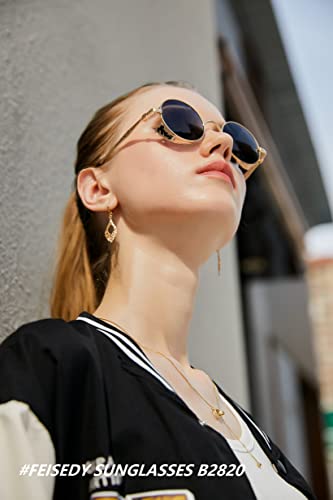 FEISEDY Retro Steampunk Polarized Sunglasses for Men Women, Round Metal Frame Gothic Vintage Style B28204
