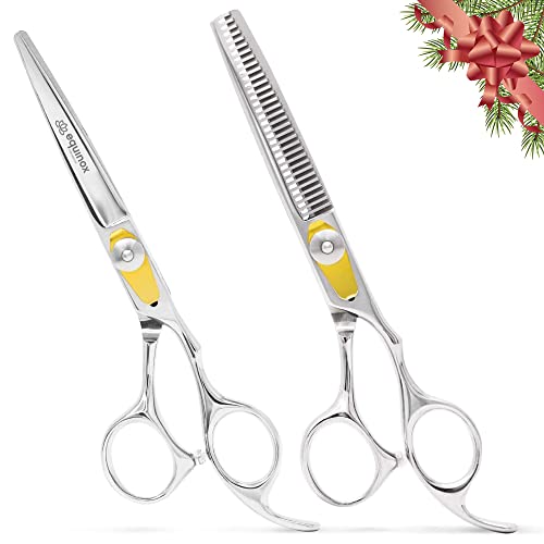 9 Best Hair Cutting Shears for Amateurs & Professionals in 2022