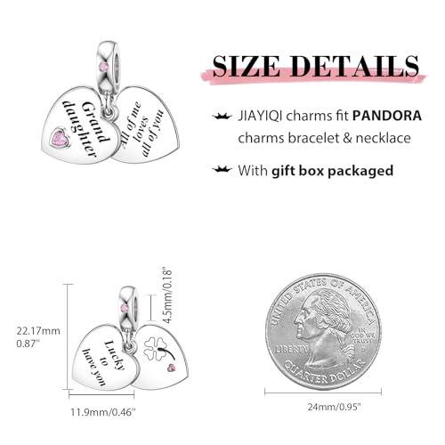 JIAYIQI Mother Sister Daughter Wife Charms Fit Charms Bracelet Necklace with Double Heart Love Charms 925 Sterling Silver Beads for Women Jewelry3
