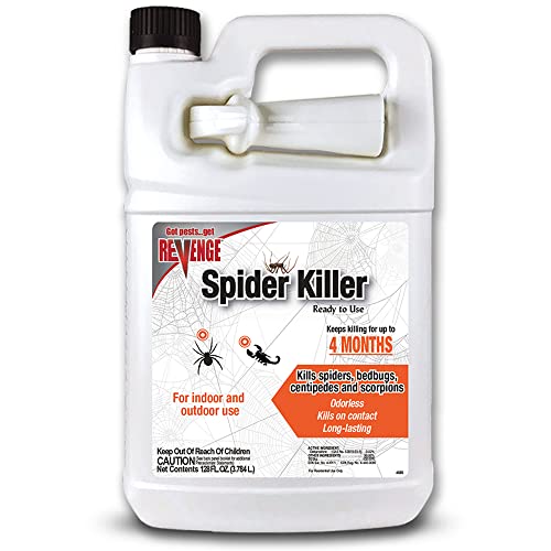 Top 10 Best Spray To Kill Spiders Reviews & Buying Guide Katynel