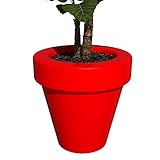 Grandecoracion.com