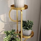 Zoom IMG-2 azhangyb espositore per piante da Zoom IMG-2 azhangyb espositore per piante da