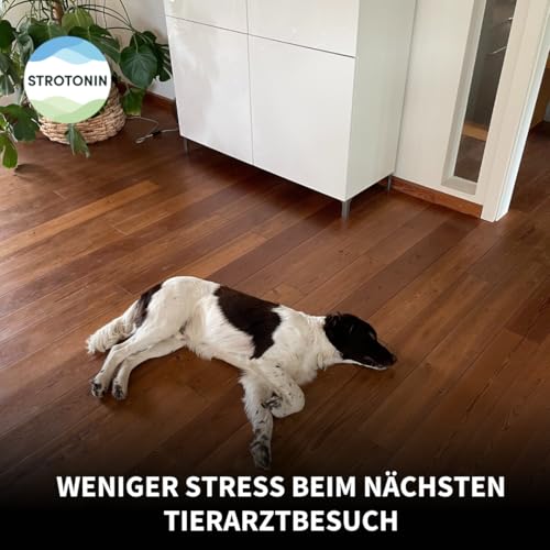 Strotonin Dog Support – Ergänzungsfuttermittel für Hunde, In Stresssituationen wie Autofahrt, Reisen & Alltag, Alternative zu Beruhigungsmittel für Hunde, Baldrian, CBD Öl -Made in Germany - 10 STK
