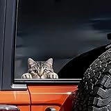 2 pcs Adorable Gray Tabby Cat Peeking Expressive Eyes Funny Car Bumper Sticker,6 Inch Vinyl Decal, Waterproof,Die-Cut for Cars,Windows,Laptops -Gray