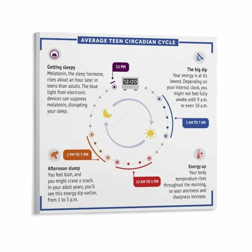 Circadian Rhythm Biological Clock Chart Poster Sleep Guide (6) Canvas