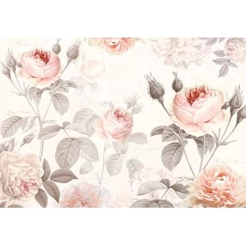 Komar XXL4-034 La Maison Wall Mural, Pink Cover