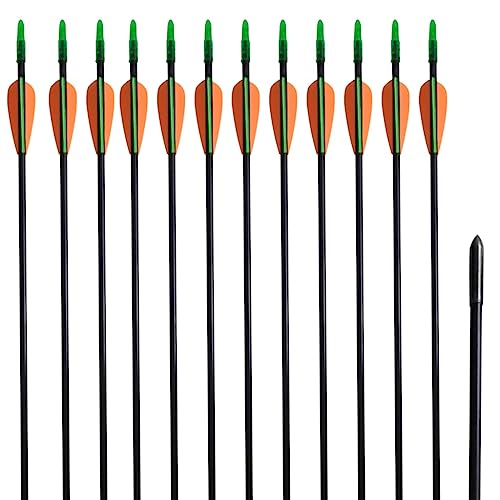 Generico Frecce Standard per Archi Ricurvi 12 pz 76,2/0,6 cm Fibra Vetro,Frecce e dardi