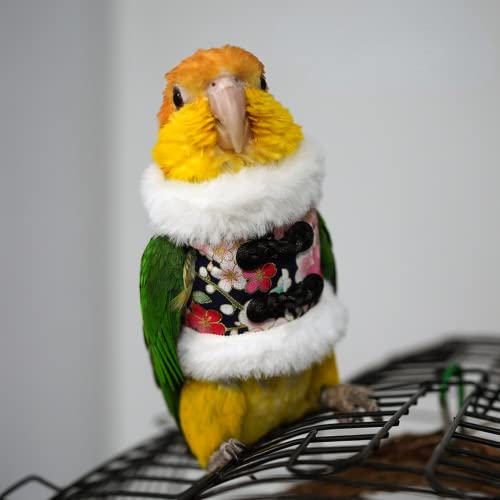 Image of Bird Costume Bird Flight Suit Bird Clothes Cosplay Photo Prop for Parrots Parakeet Cockatiel Sun Conure, Bird Hoodie Small Animals Apparel (Black, Large)