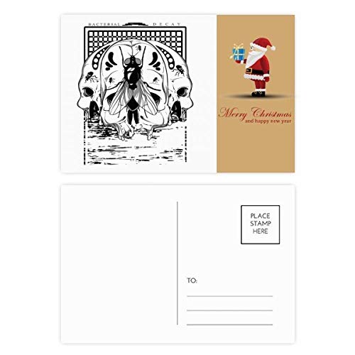 Cartes postales Squelette Housefly Père Noël pour correspondances de fin d'année insolites