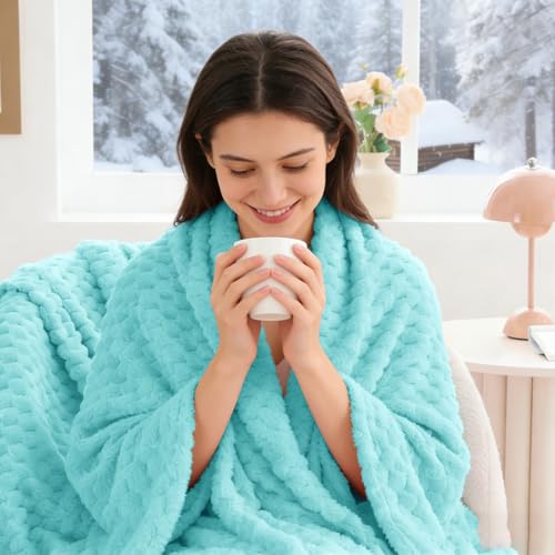 Image of BEDELITE Aqua Twin Blanket for Couch, Soft Cozy Gifts for Women, 60 * 80 | 3D Jacquard Decorative Fleece Blanket, Super Soft Plush Throw, Cute Birthday Gift for Women & Men, Suitable for All Seasons