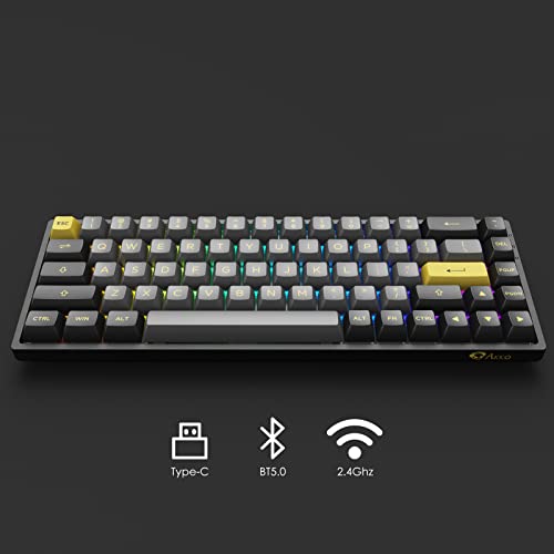 Akko 3068B Plus 65% Percent 68-Key Rgb Hot-Swappable Mechanical Gaming Keyboard, 2.4G Wireless/Bluetooth/Wired With Pbt Double-Shot Keycaps For Mac & Win (Black & Gold, Jelly Purple Switches) #TOP2