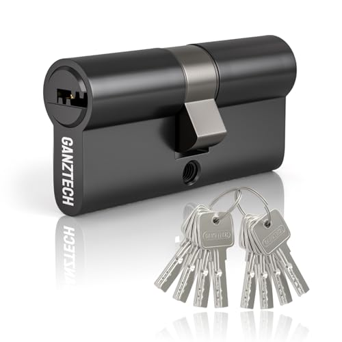 GANZTECH 45/45(90mm) Serrure de barillet de porte en nickel,cl...
