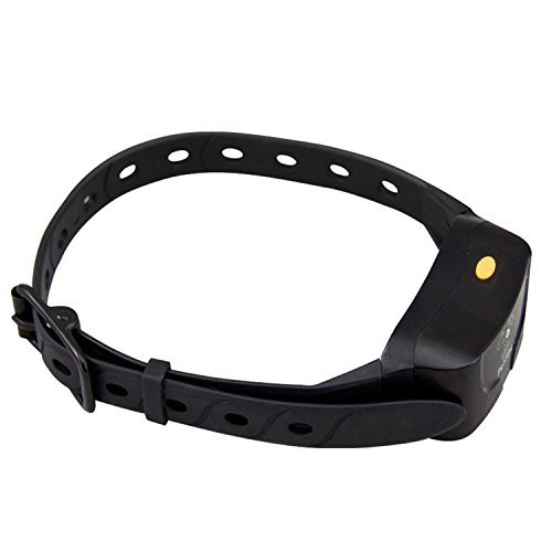 PetSpy P620 Extra Receiver Collar Replacement Part for Dog Training