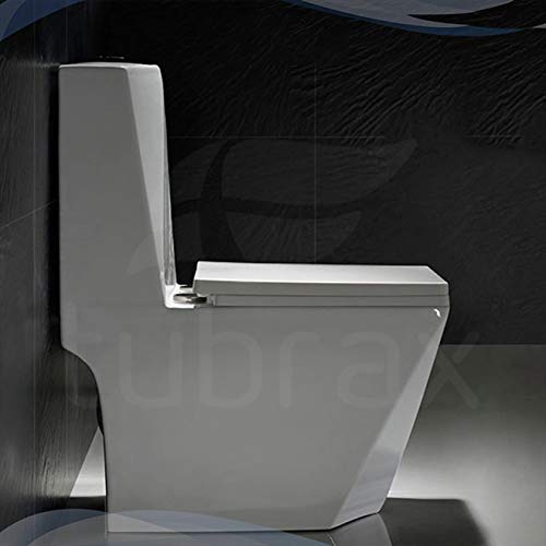 Vaso Sanitário Monobloco Completo - Caixa Acoplada Privada