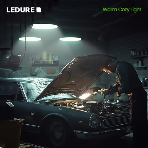 Image of LEDURE 30W LED Bulb|High Wattage B22 Base Bulb|BIS Approved|CoolWhite,Pack-2