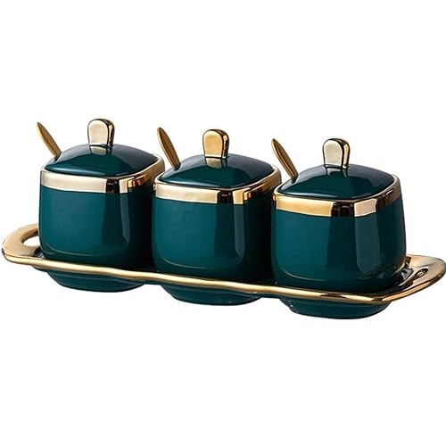 CAFIEDR Juego de recipientes para condimentos, Juego de ollas de cerámica para condimentos, Caja para condimentos, salero de Cocina, Juego de Botellas para condimentos, Caja para(Azul)
