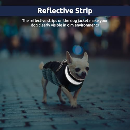 CITÉTOILE Hundemantel für Kleine Hunde - Warme Wasserdichte Hundejacke mit Fleece, Reflektierend Winddichte Winterweste für Dackel, Bulldogge