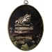 CUANFDDSF Vintage Frog Book Oval Wall Art Decor, Moody Cottagecore Botanical Frog Wall Hanging Decor, Dark Academia Bookish Framed Canvas Prints for Home Library Reading Room, 8.6x11.4 Inch