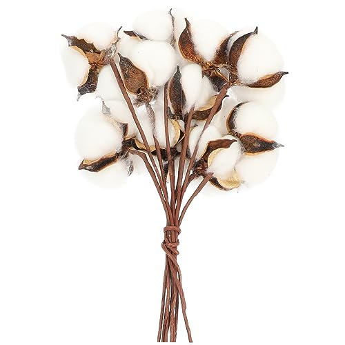 Set de ramo de flores secas de algodón para decoración miniatura 1