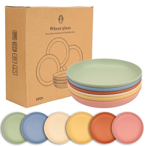 ZHLIMY 6 Stück Plastikteller Tief 23cm Camping Picknick Teller...