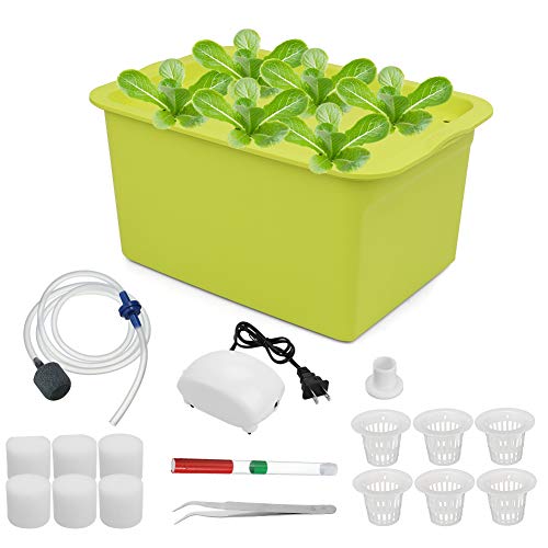 Freehawk Hydroponic System Growing Kit with Air Pump 6 Holes Soilless Cultivation Seeding Plant Grow Box Garden Cabinet Box for Herbs, Seeds, Lettuce, Vegetables (Green)