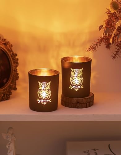 Romadedi Lot de 2 photophores en verre en forme de chouette Doré Noir Pour femme Décoration de Noël Décoration de table d'anniversaire Salon