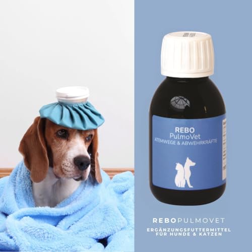 ReboPulmoVet Atemwegsunterstützung für Hunde & Katzen 100 ml: Kann unterstützen bei Husten & Bronchialproblemen bei Hund & Katze, Pflanzenextrakte wie Spitzwegerich & Efeu