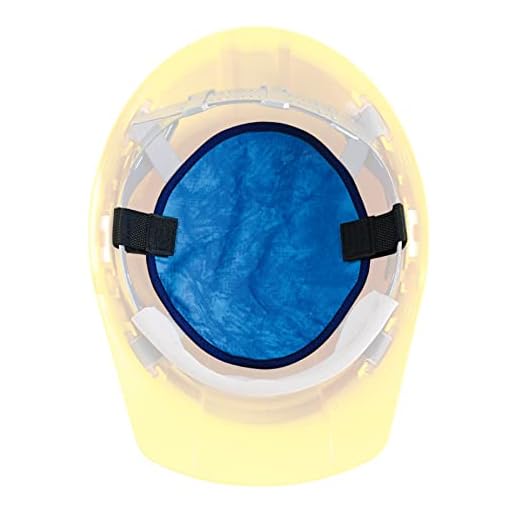 Ergodyne Chill-Its 6715CT Evaporative Cooling Interior Hard Hat Pad, Blue