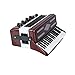 Dselvgvu Miniature Accordion with Case Mini Musical Instrument Accordion Replica Collectible Figurines Dollhouse Accessories Model Home Decoration Display Ornament (Red, 2.76